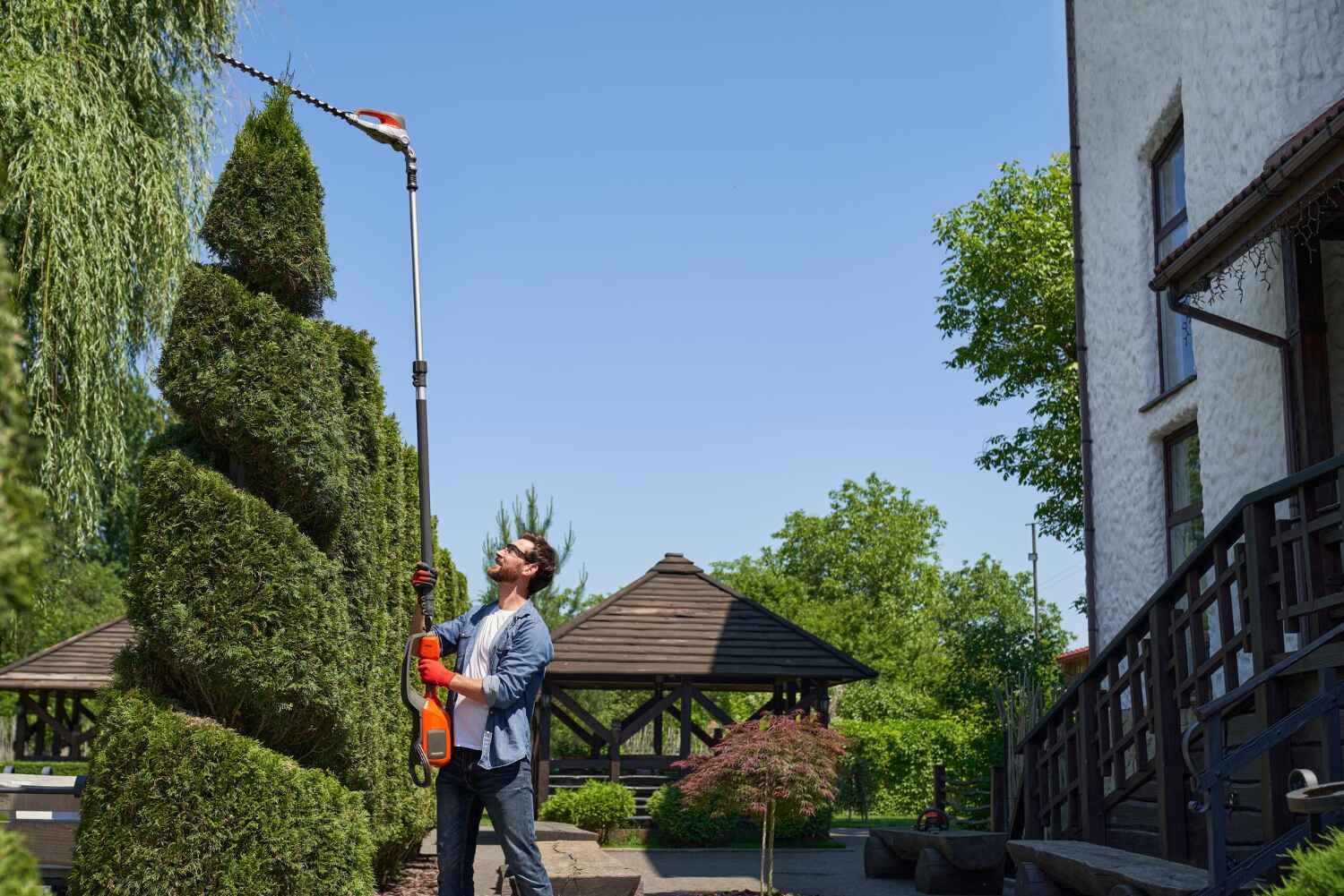 Trusted Maryland Heights, MO Tree Service Experts